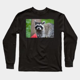 Sad Raccoon Print Long Sleeve T-Shirt